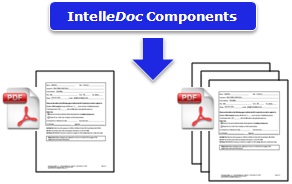 One PDF per document or a combined PDF for multiple documents